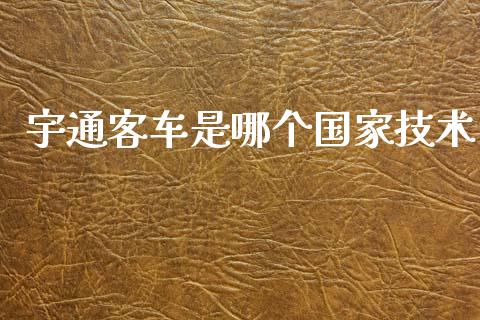 宇通客车是哪个国家技术_https://wap.lxcailiao.com_融资担保_第1张