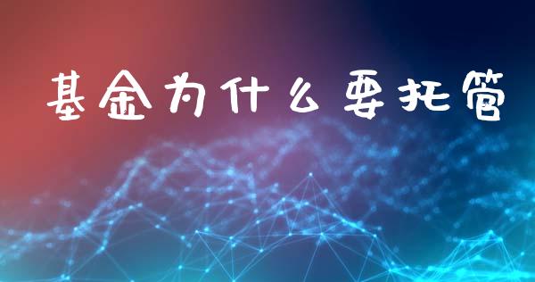 基金为什么要托管_https://wap.lxcailiao.com_财务管理_第1张
