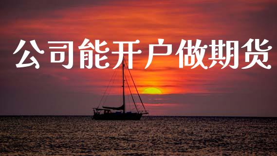 公司能开户做期货_https://wap.lxcailiao.com_融资担保_第1张