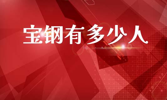 宝钢有多少人_https://wap.lxcailiao.com_金融监管_第1张