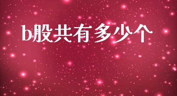 b股共有多少个_https://wap.lxcailiao.com_股权投资_第1张