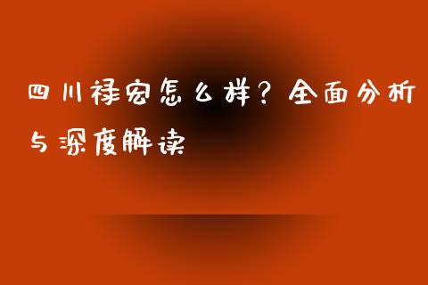 四川禄宏怎么样？全面分析与深度解读_https://wap.lxcailiao.com_融资担保_第1张
