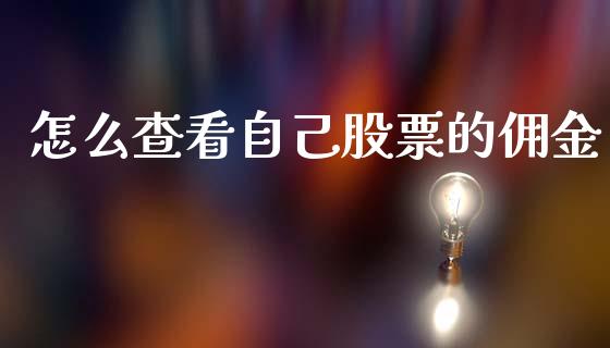 怎么查看自己股票的佣金_https://wap.lxcailiao.com_股权投资_第1张