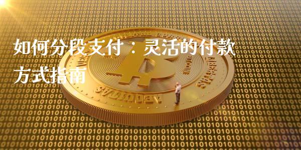如何分段支付:灵活的付款方式指南_融资担保_第1张_金融监管_融资担保_财务管理_股权投资 如何分段支付:灵活的付款方式指南_https://wap.lxcailiao.com_融资担保_第1张