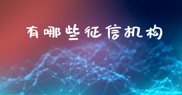 有哪些征信机构_https://wap.lxcailiao.com_财务管理_第1张