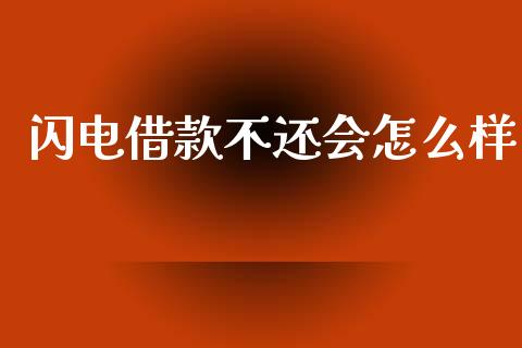 闪电借款不还会怎么样_https://wap.lxcailiao.com_金融监管_第1张