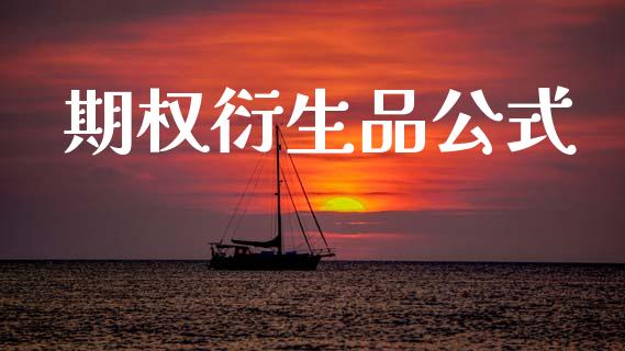 期权衍生品公式_https://wap.lxcailiao.com_金融监管_第1张