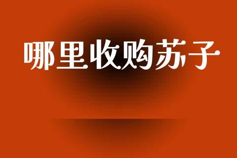 哪里收购苏子_https://wap.lxcailiao.com_财务管理_第1张