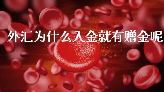 外汇为什么入金就有赠金呢_https://wap.lxcailiao.com_融资担保_第1张