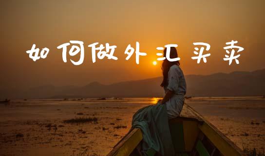 如何做外汇买卖_https://wap.lxcailiao.com_财务管理_第1张