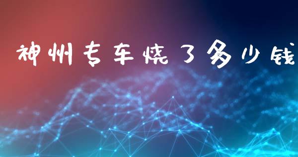 神州专车烧了多少钱_https://wap.lxcailiao.com_财务管理_第1张