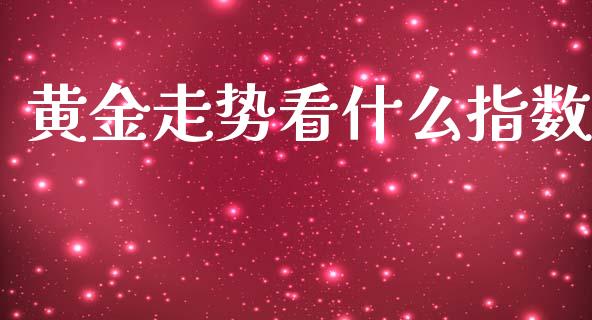 黄金走势看什么指数_https://wap.lxcailiao.com_融资担保_第1张
