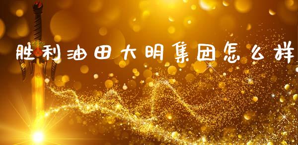 胜利油田大明集团怎么样_https://wap.lxcailiao.com_融资担保_第1张