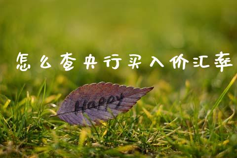 怎么查央行买入价汇率_https://wap.lxcailiao.com_财务管理_第1张