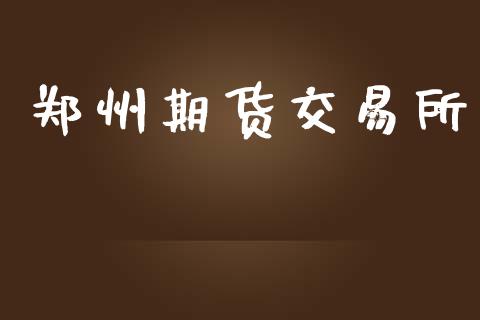 郑州期货交易所_https://wap.lxcailiao.com_财务管理_第1张