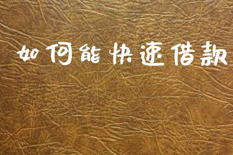 如何能快速借款_https://wap.lxcailiao.com_融资担保_第1张