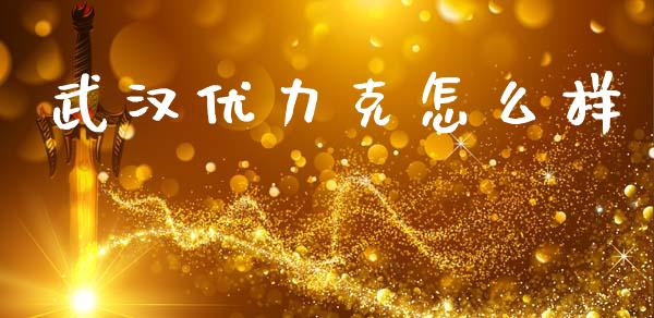 武汉优力克怎么样_https://wap.lxcailiao.com_股权投资_第1张
