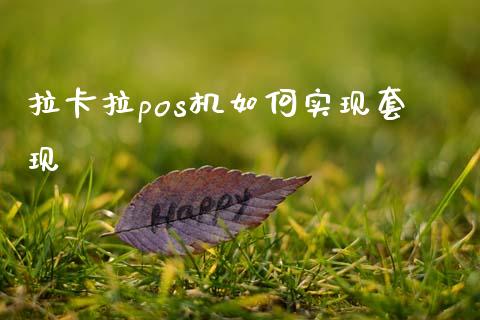 拉卡拉pos机如何实现套现_https://wap.lxcailiao.com_财务管理_第1张