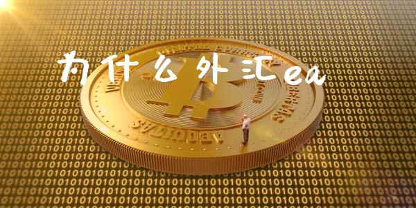 为什么外汇ea_https://wap.lxcailiao.com_融资担保_第1张