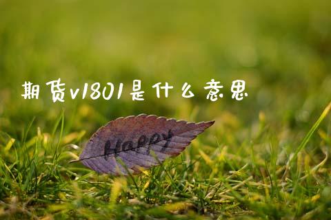 期货v1801是什么意思_https://wap.lxcailiao.com_财务管理_第1张