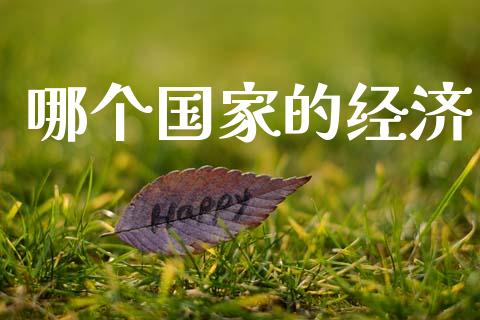 哪个国家的经济_https://wap.lxcailiao.com_融资担保_第1张