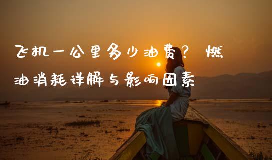 飞机一公里多少油费？ 燃油消耗详解与影响因素_https://wap.lxcailiao.com_财务管理_第1张