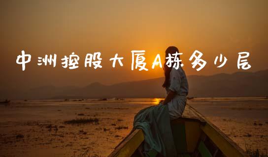 中洲控股大厦A栋多少层_https://wap.lxcailiao.com_财务管理_第1张