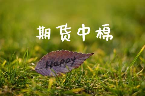 期货中棉_https://wap.lxcailiao.com_金融监管_第1张
