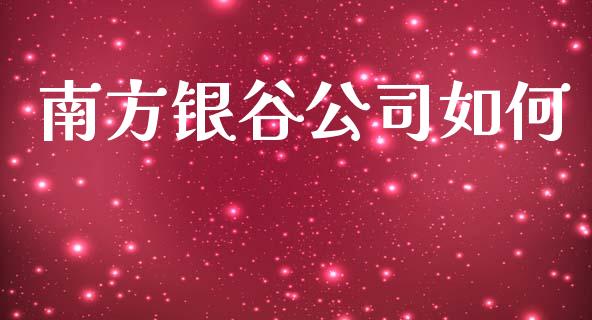 南方银谷公司如何_https://wap.lxcailiao.com_融资担保_第1张