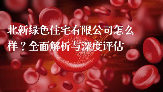 北新绿色住宅有限公司怎么样？全面解析与深度评估_https://wap.lxcailiao.com_融资担保_第1张