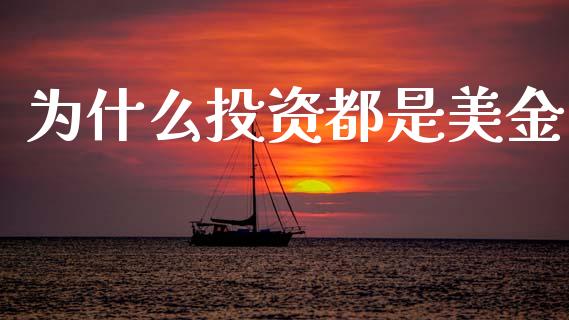 为什么投资都是美金_https://wap.lxcailiao.com_财务管理_第1张