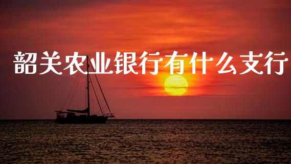 韶关农业银行有什么支行_https://wap.lxcailiao.com_金融监管_第1张
