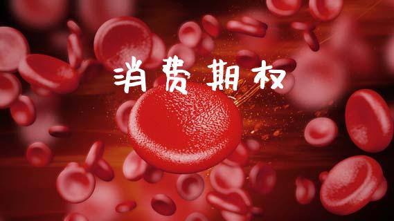 消费期权_https://wap.lxcailiao.com_金融监管_第1张