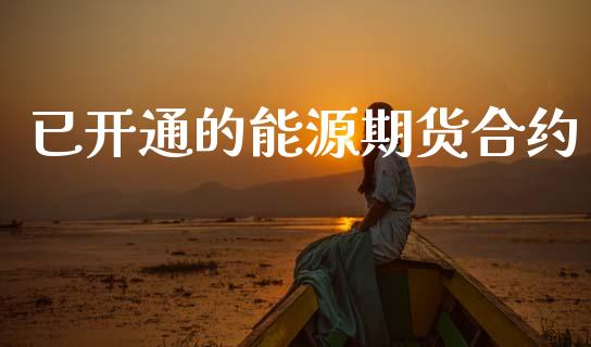 已开通的能源期货合约_https://wap.lxcailiao.com_融资担保_第1张