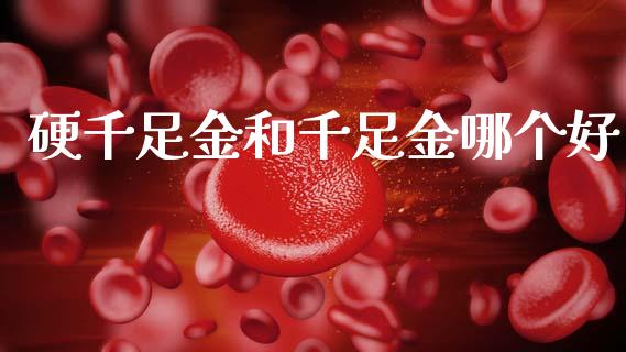 硬千足金和千足金哪个好_财务管理_第1张_金融监管_融资担保_财务管理_股权投资 硬千足金和千足金哪个好_https://wap.lxcailiao.com_财务管理_第1张