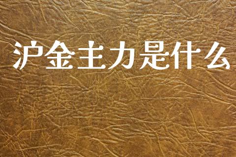 沪金主力是什么_https://wap.lxcailiao.com_融资担保_第1张