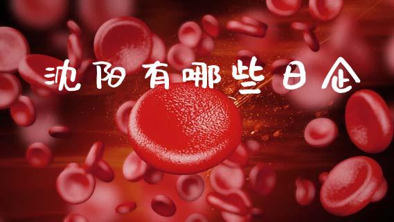 沈阳有哪些日企_https://wap.lxcailiao.com_股权投资_第1张
