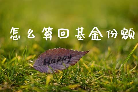 怎么算回基金份额_https://wap.lxcailiao.com_财务管理_第1张