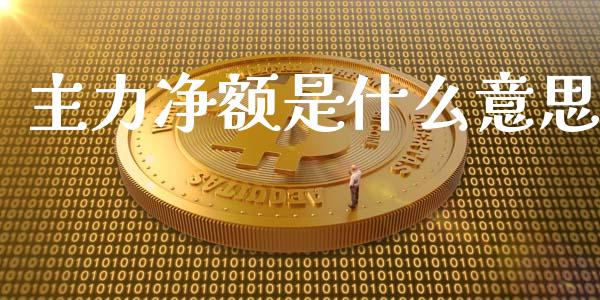 主力净额是什么意思_https://wap.lxcailiao.com_金融监管_第1张