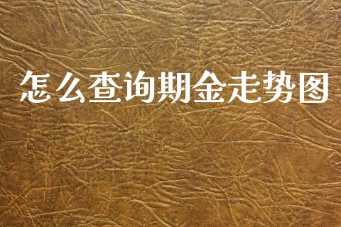 怎么查询期金走势图_https://wap.lxcailiao.com_股权投资_第1张