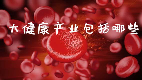 大健康产业包括哪些_https://wap.lxcailiao.com_财务管理_第1张