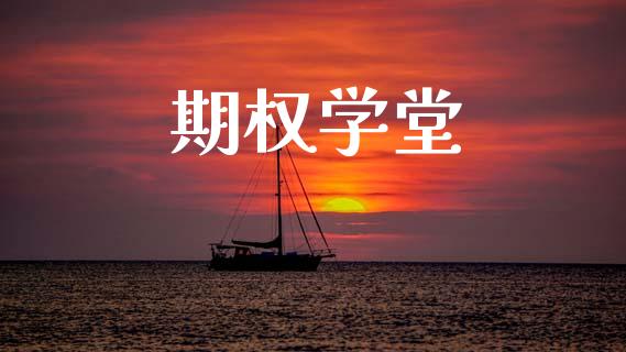 期权学堂_https://wap.lxcailiao.com_股权投资_第1张