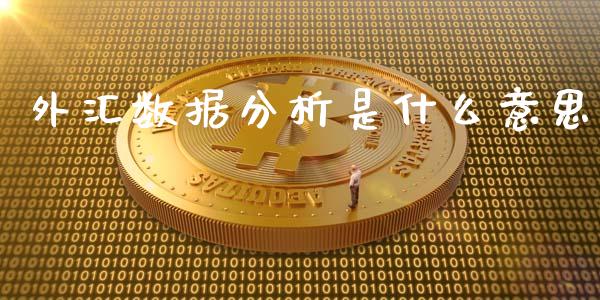 外汇数据分析是什么意思_https://wap.lxcailiao.com_股权投资_第1张