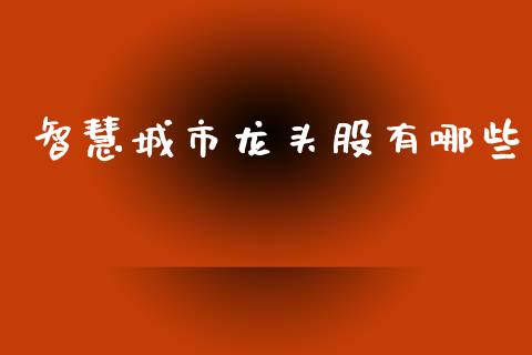智慧城市龙头股有哪些_https://wap.lxcailiao.com_金融监管_第1张