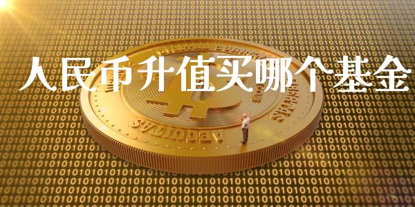 人民币升值买哪个基金_https://wap.lxcailiao.com_财务管理_第1张