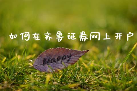 如何在齐鲁证券网上开户_https://wap.lxcailiao.com_金融监管_第1张