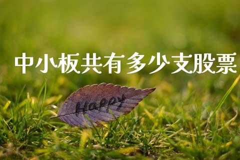 中小板共有多少支股票_https://wap.lxcailiao.com_财务管理_第1张