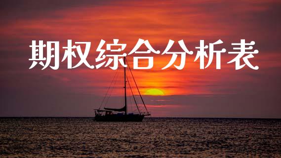 期权综合分析表_https://wap.lxcailiao.com_融资担保_第1张