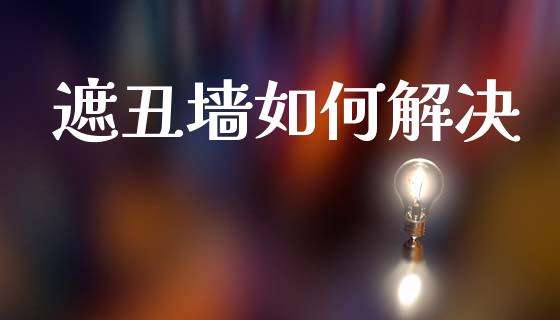 遮丑墙如何解决_https://wap.lxcailiao.com_融资担保_第1张