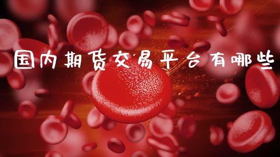 国内期货交易平台有哪些_https://wap.lxcailiao.com_股权投资_第1张